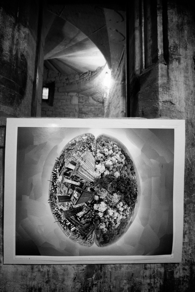 Adrian Kenyon | Dominique Letellier