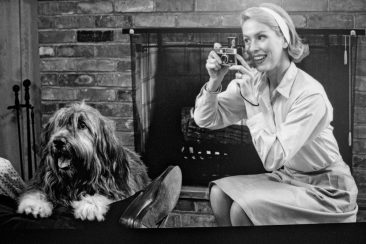 Colorama Kodak | D. Letellier