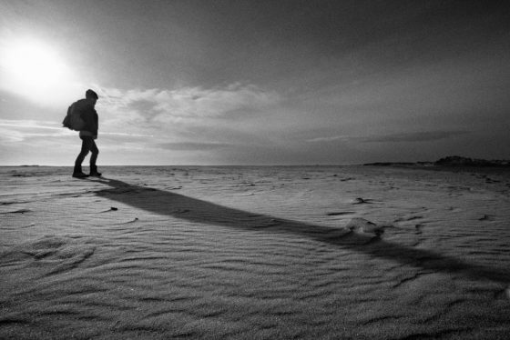 Les Saintes-Maries de la Mer | D. Letellier