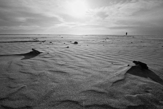 Les Saintes-Maries de la Mer | D. Letellier